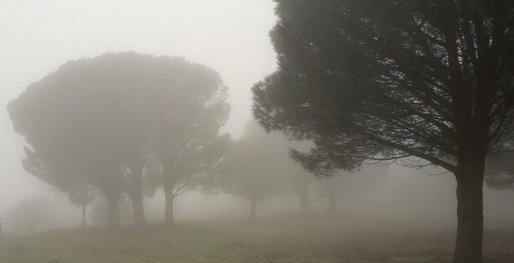L’attribut alt de cette image est vide, son nom de fichier est 20210216_144903-1024x525.jpg.